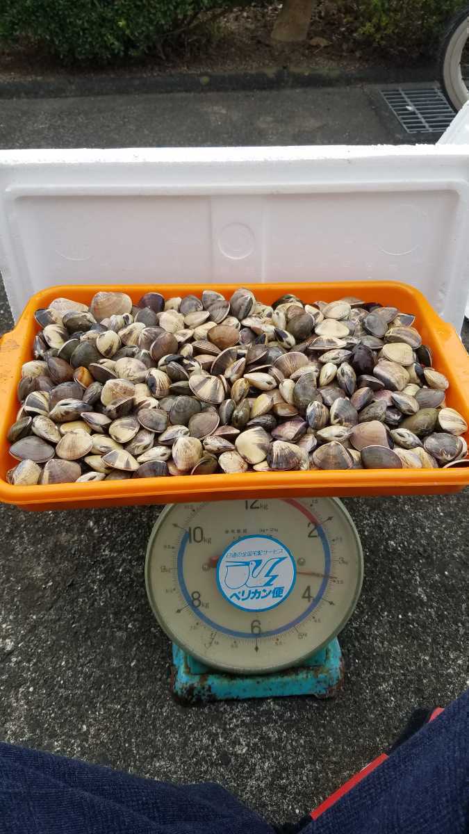 新品 茨城県 大洗産 天然活ハマグリ 3 1円スタート 送料910円 女性やお子様 ご年配の方にも 砂抜き済 2 国産 蛤 はまぐり の落札情報詳細 ヤフオク落札価格情報 オークフリー スマートフォン版 新品 茨城県 大洗産 天然活ハマグリ 3 1円スタート 送料910円 女性やお子様 ご年配の方にも 砂抜き済 2 国産 蛤 はまぐり の落札情報詳細 ヤフオク落札価格情報 オークフリー スマートフォン版