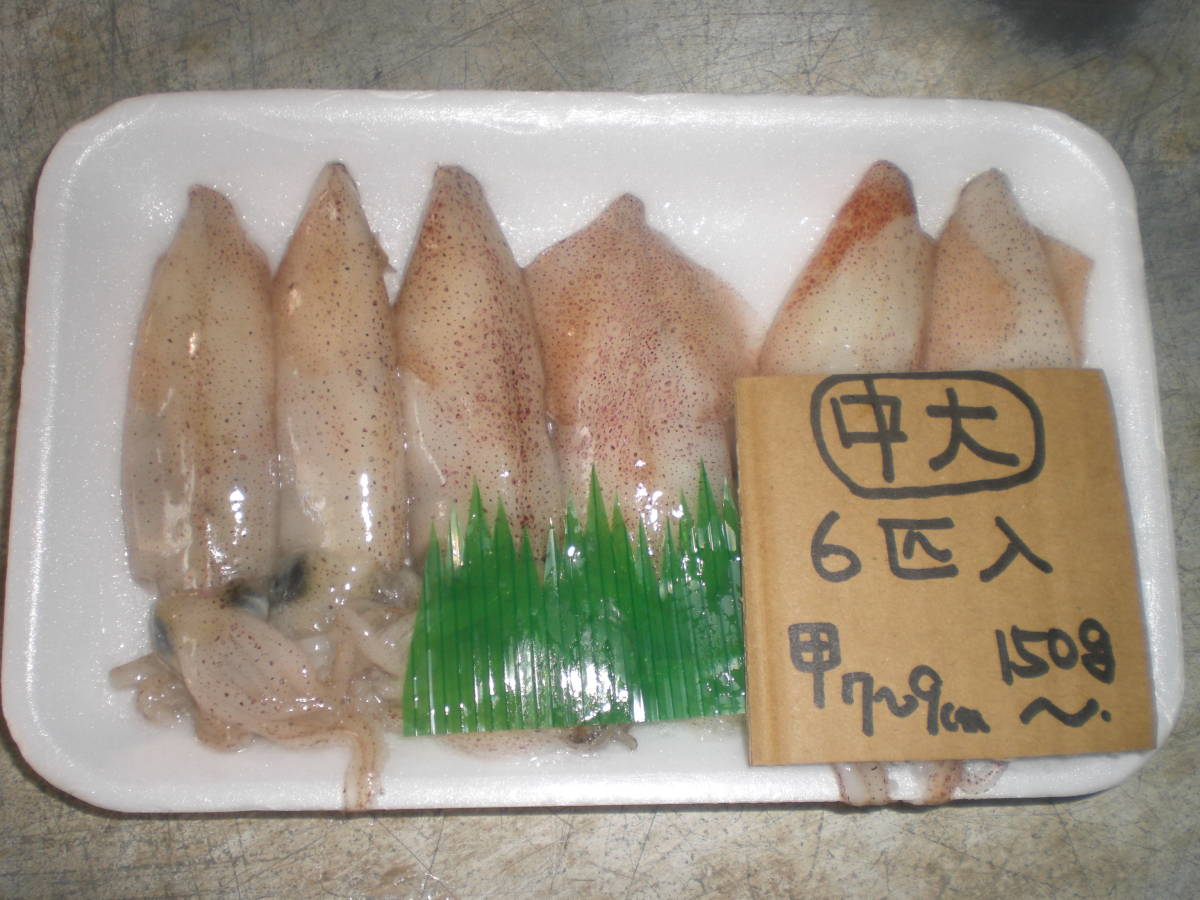 新品 和歌山産 厳選 小イカ 6匹入り約150ｇ 甲の大きさは7 9ｃｍ位 冷凍 の落札情報詳細 ヤフオク落札価格情報 オークフリー スマートフォン版