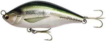 新品 マアジ キヌリ Knaji Rapala ラパラ ペンシルベイト ノースクラフト エアーオグル Slm スラローム Aog の落札情報詳細 ヤフオク落札価格情報 オークフリー スマートフォン版