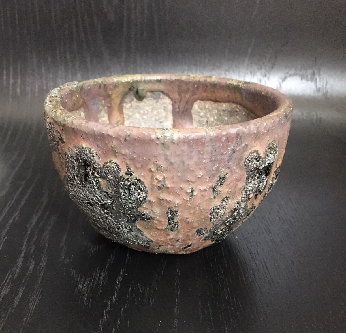 大原光一 Solomon pot シリンダータイプ 大きめ 塊根植物