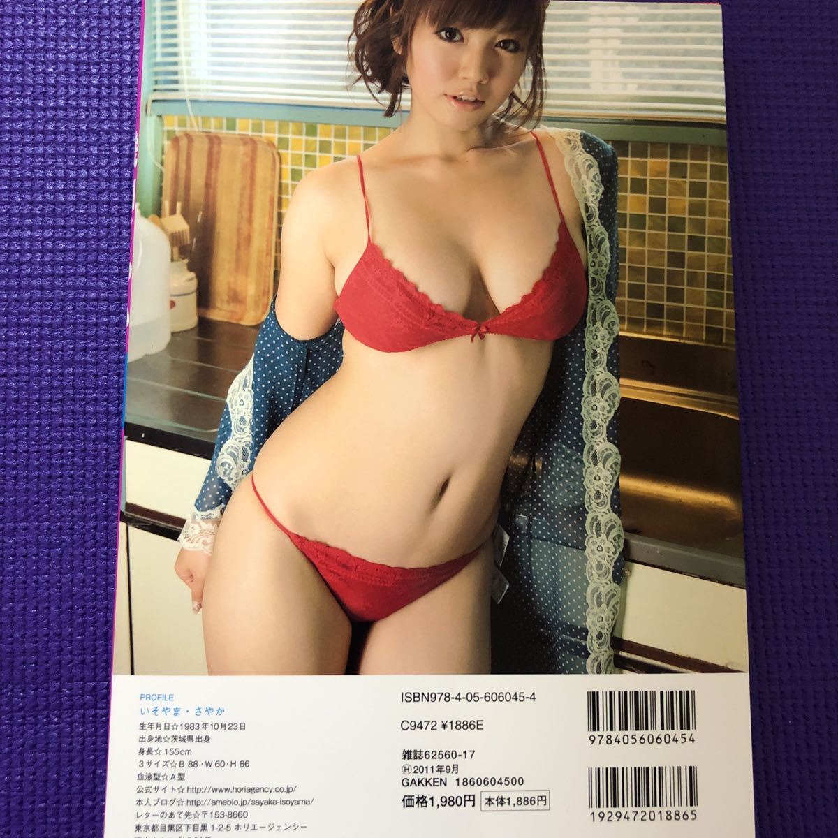 磯山さやか Iso Dvd付き写真集 中古 水着 グラビアアイドル の落札情報詳細 ヤフオク落札価格情報 オークフリー スマートフォン版