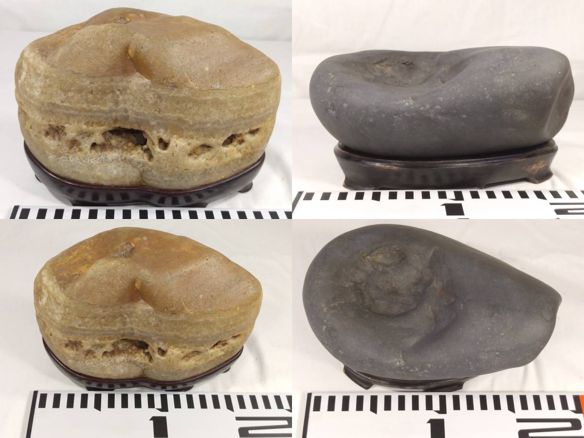 幸太郎石 溜まり 鑑賞石 【公式通販】