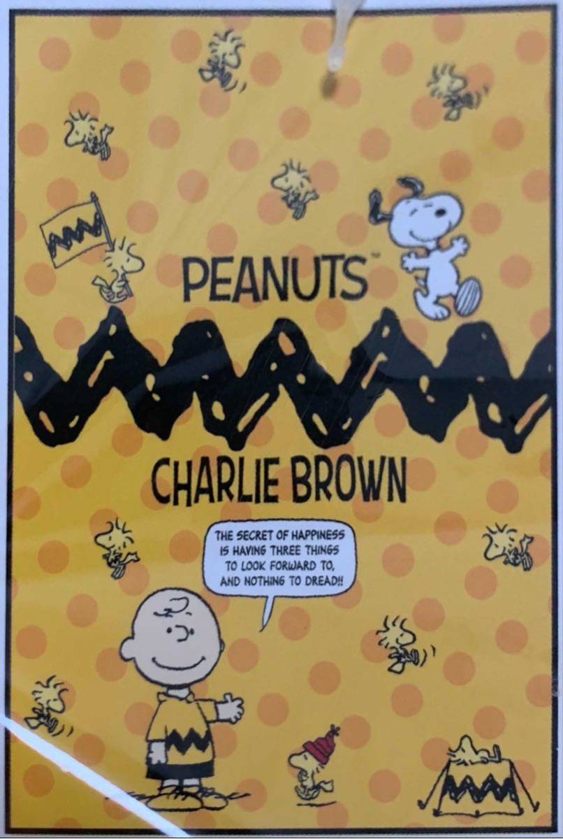 未使用 新品 未使用品 Peanuts Snoopy ブランケット 毛布 イエロー スヌーピー ウッドストック チャーリーブラウン シングルサイズ の落札情報詳細 ヤフオク落札価格情報 オークフリー