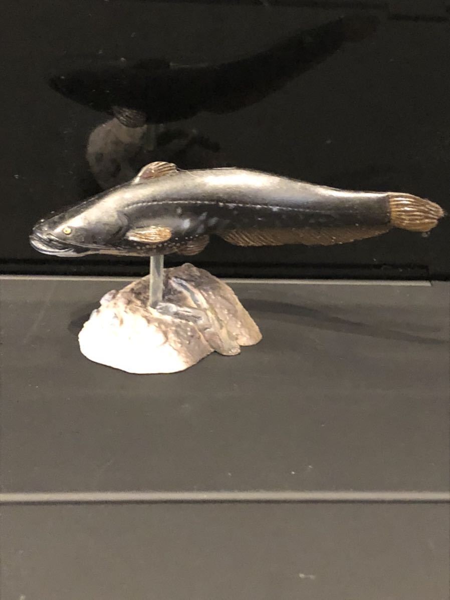 目立った傷や汚れなし】333円〜 海洋堂 ユージン YUJIN 原色淡水魚図鑑