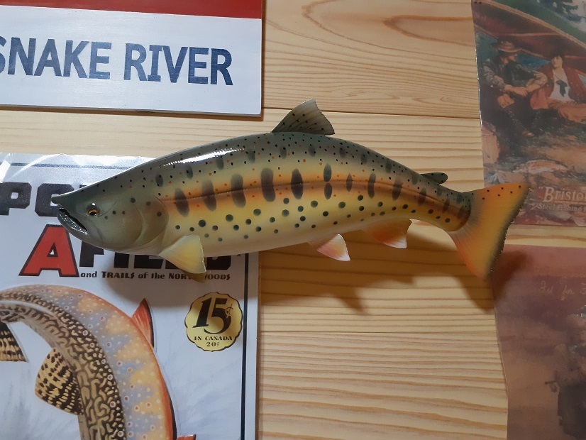 レプリカ　51ｃｍ　サクラマス　婚姻色　尾下　/　スピナー　フライフィッシング　渓流　スプーン　FlyFishing 61zDNRo5BfL._UF350,350_QL50_.jpg