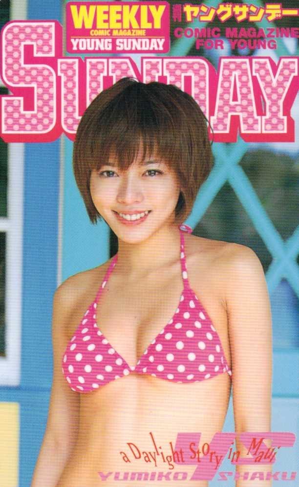 激レア 釈由美子 サントリー B2 B3 ポスター 水着 ビキニ ハイレグ 激レア 釈由美子 サントリー B2 B3 ポスター 水着 ビキニ