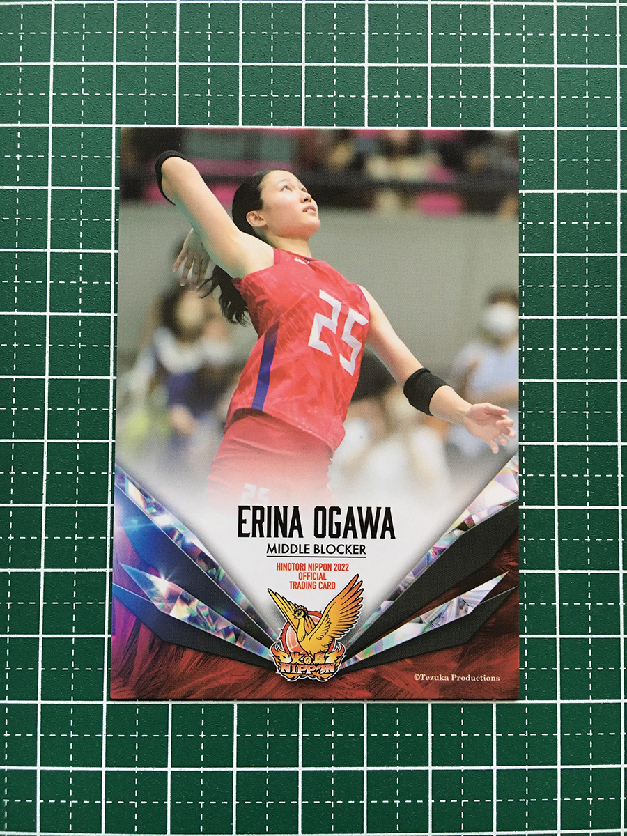 東レアローズ 女子バレー選手 直筆サイン色紙