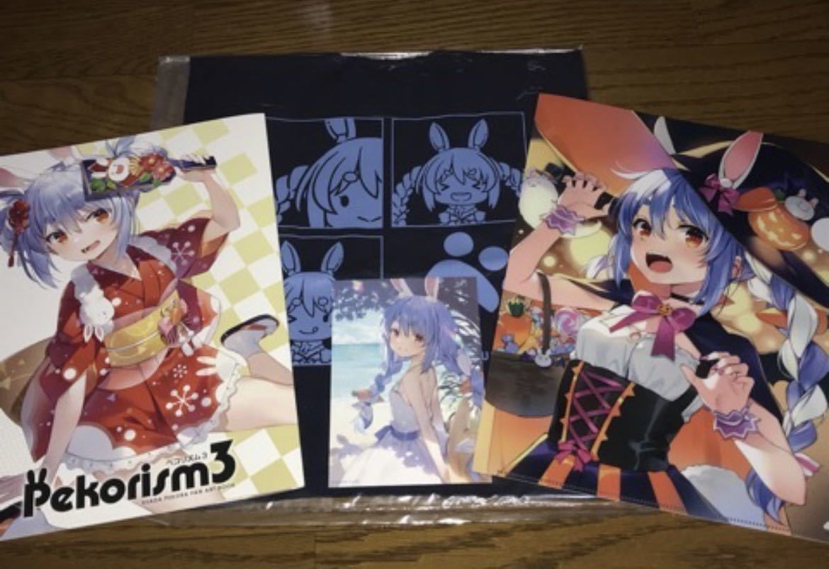 兎田ぺこら c106 WIREFRAME 憂姫はぐれ 新刊セット S11575609 - Vtuber