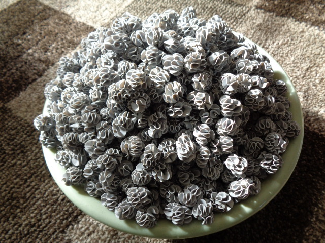 フジノスパイラル1ℓ スパイラルろ材 10L フジノスパイラル 中古 10L