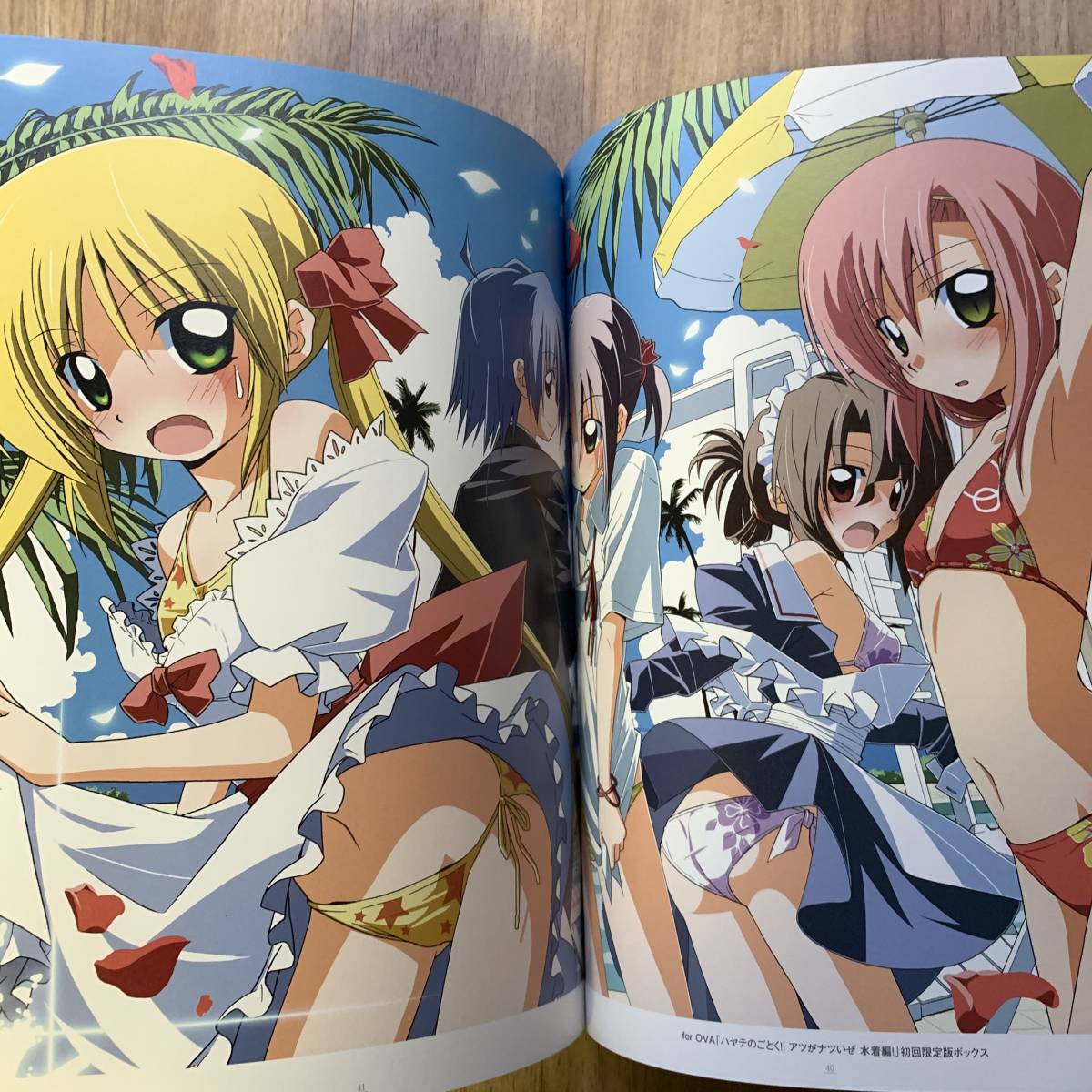 【限定版・初版】ハヤテのごとく！Girls GRAPHICS　畑健二郎イラスト集 ハヤテのごとく！GirlsGRAPHICS 畑健二郎イラスト集 限定版 画集