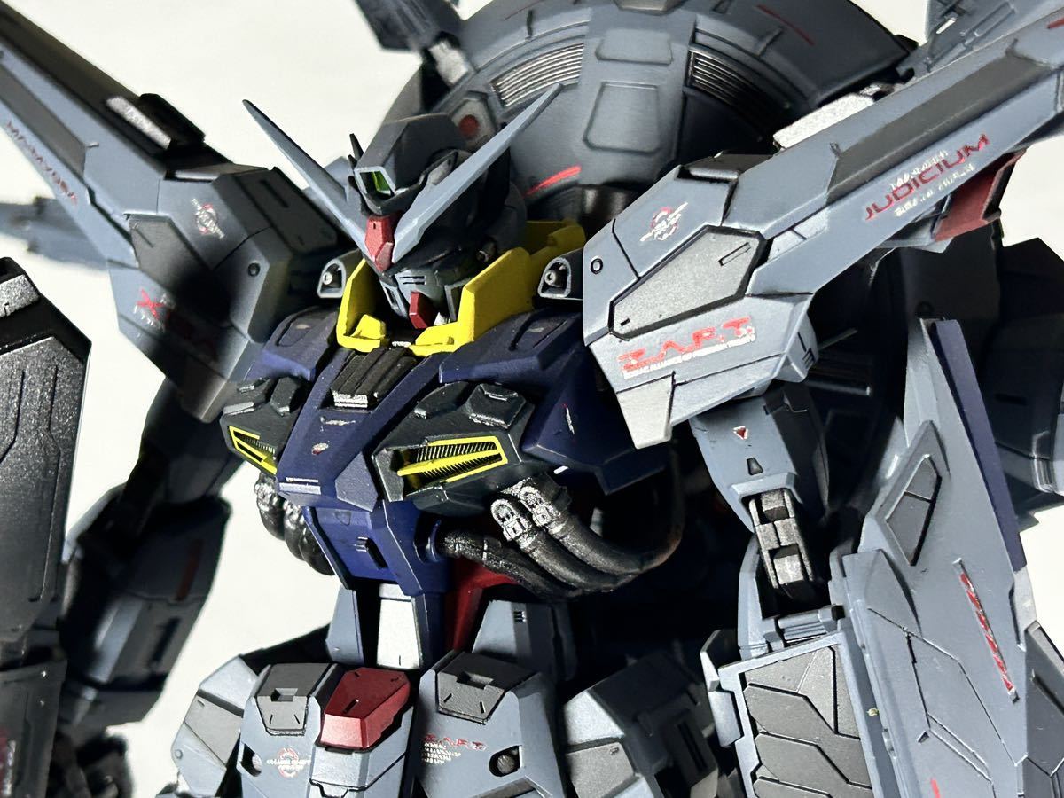 MG プロヴィデンスガンダム ミキシング改造全塗装品