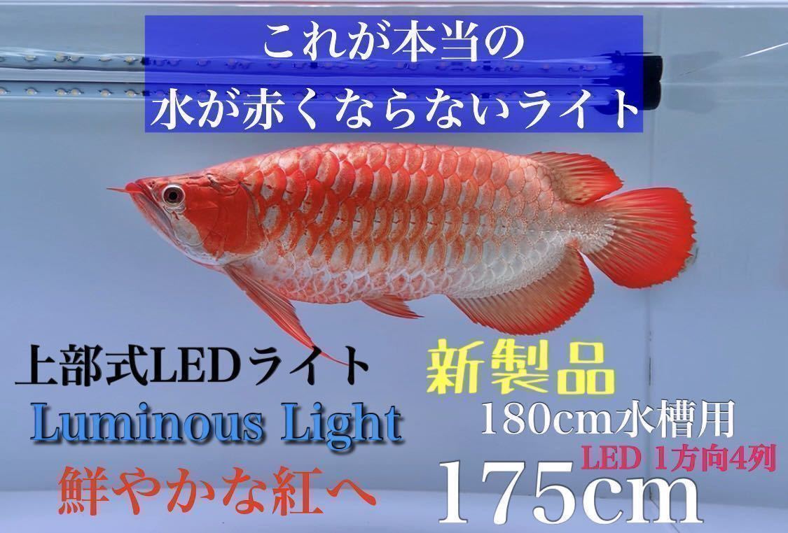 未使用】[上部] 水や底背面が赤くならない！アロワナ ルミナス