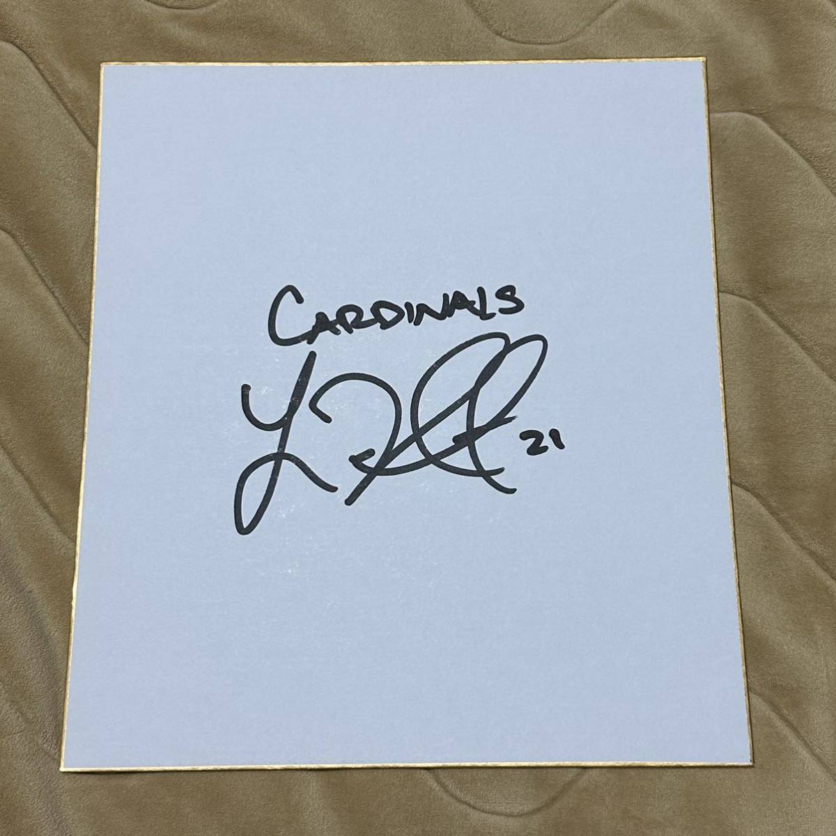 サイン入りNBAブランドン ナイト証明書付 SUNS シューズ スニーカー