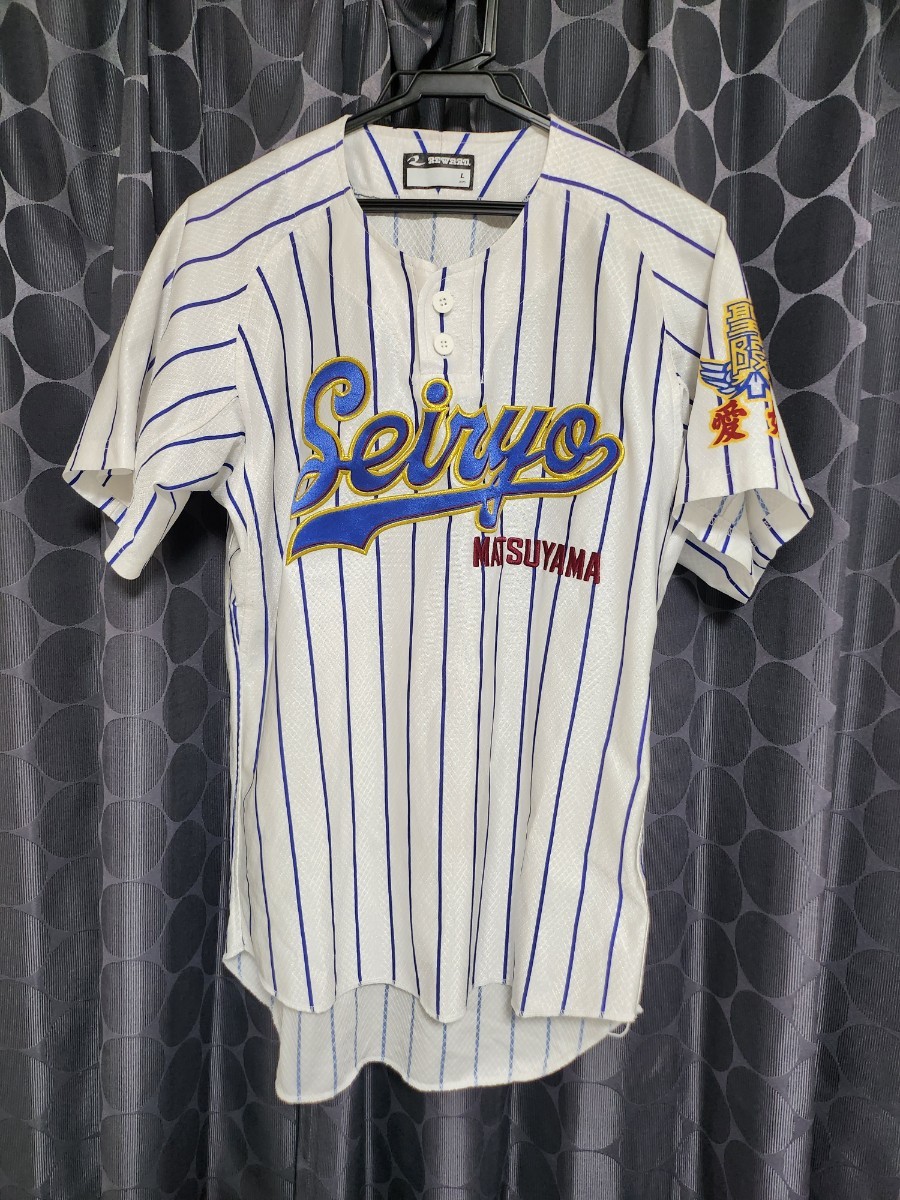 甲子園出場校 山梨県 東海大学付属甲府高校 野球部 公式戦