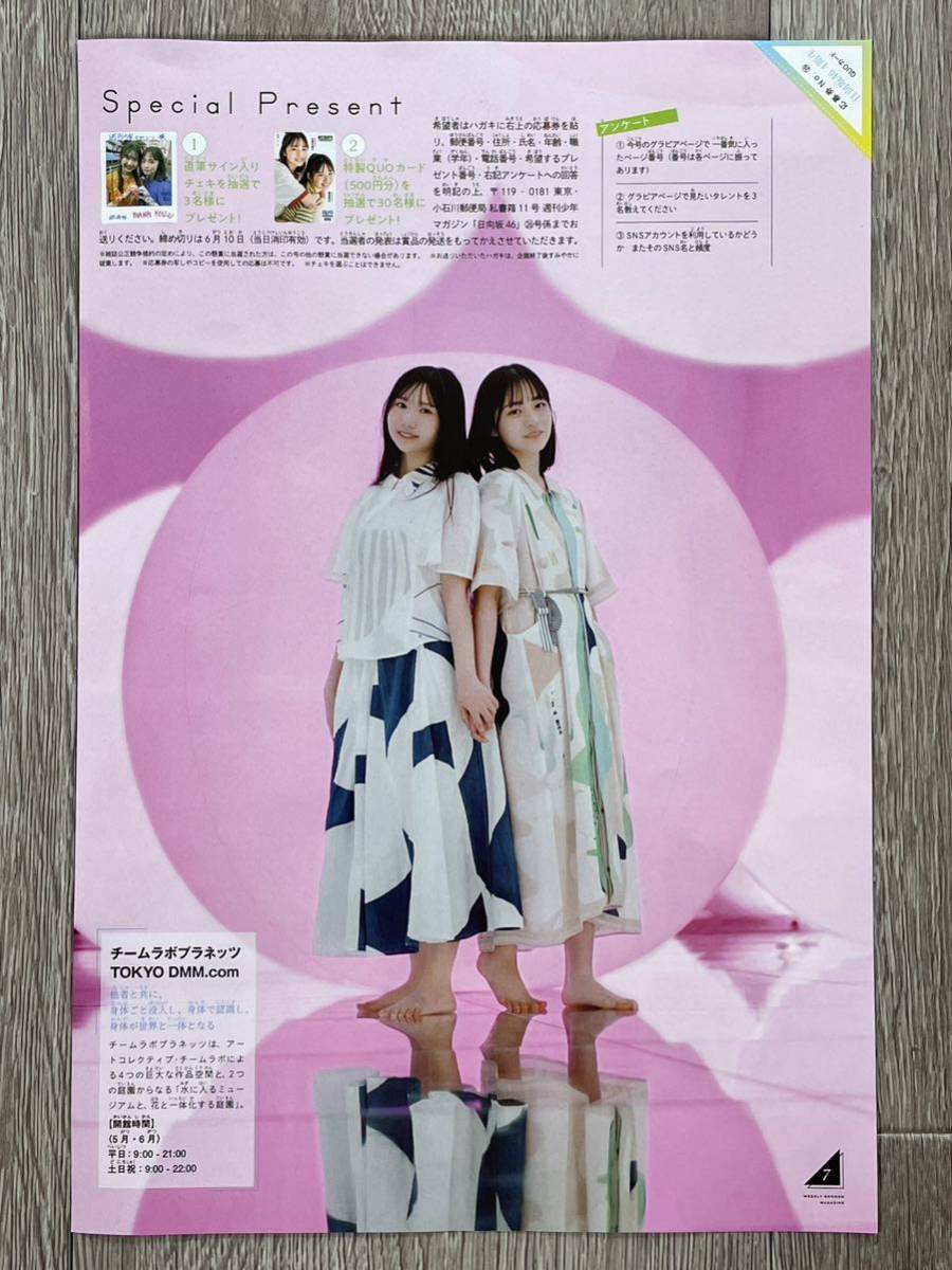 週刊少年マガジン 日向坂46 正源司陽子.藤嶌果歩 チェキ