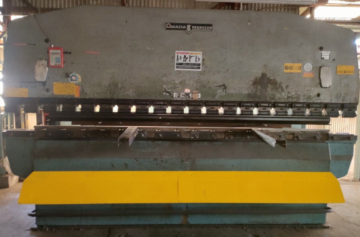 ケイトダカラ（74mm）【貝殻・タカラガイ】 ケイトダカラ（74mm）【貝殻・タカラガイ】