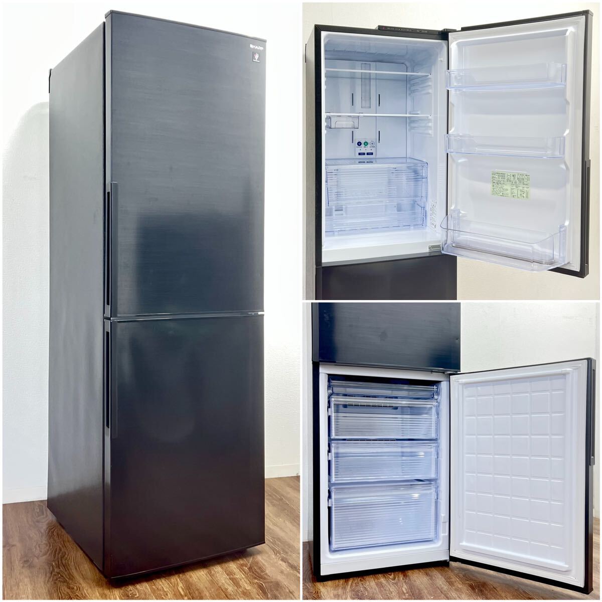 SHARP プラズマクラスター 310L 2ドアノンフロン冷蔵庫 SJ-PD31 【公式