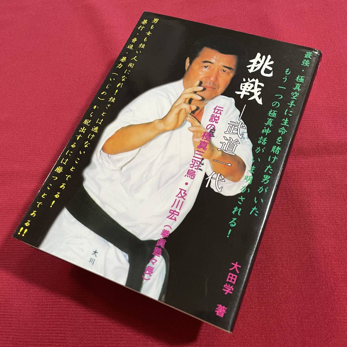☆ 極真空手黒帯団体ネーム刺繍有り5号(295cm)未使用品 ☆ 極真空手黒帯団体ネーム刺繍有り5号(295cm)未使用品