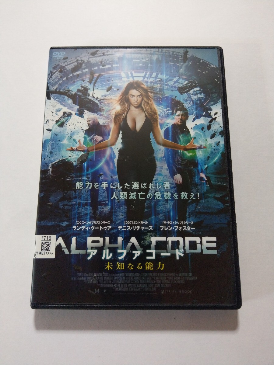 A 2L判 デニス・リチャーズ Denise Richards 直筆サイン写真