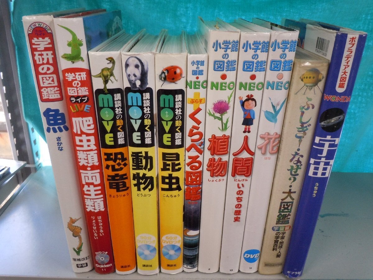 小学館の図鑑NEO 動く図鑑moveなど10冊 16冊】小学館の図鑑NEO・