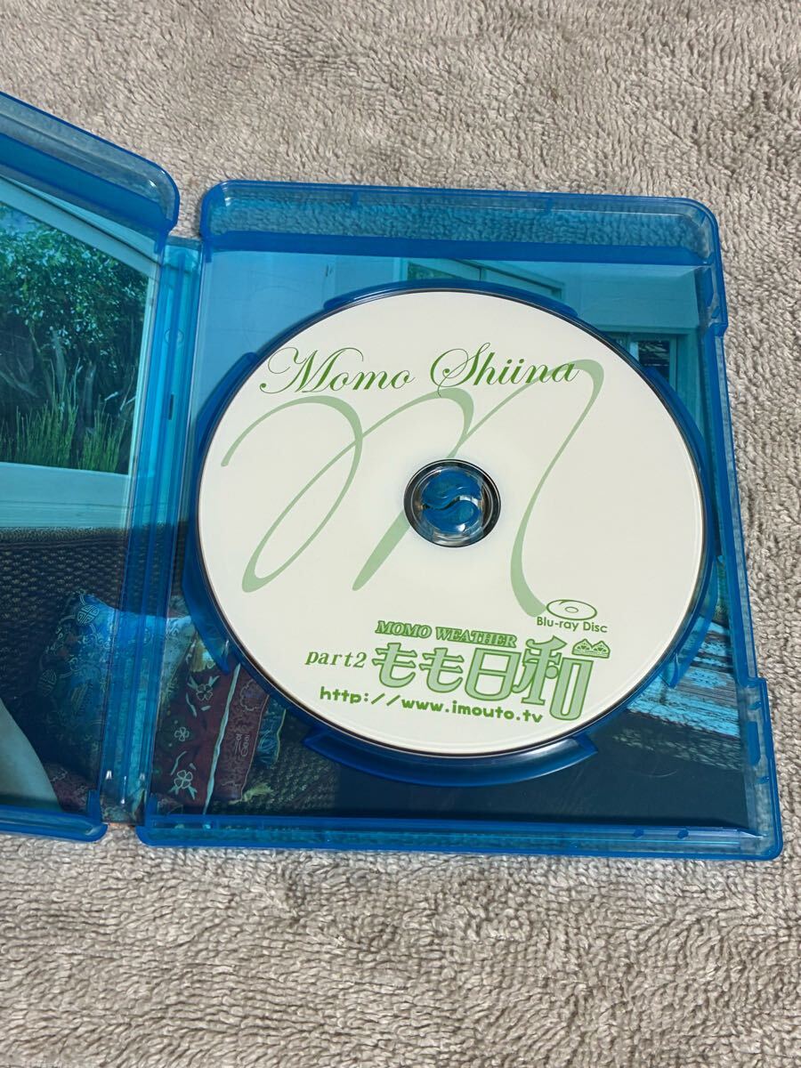 DVD】MOMO SHIINA 椎名もも part2