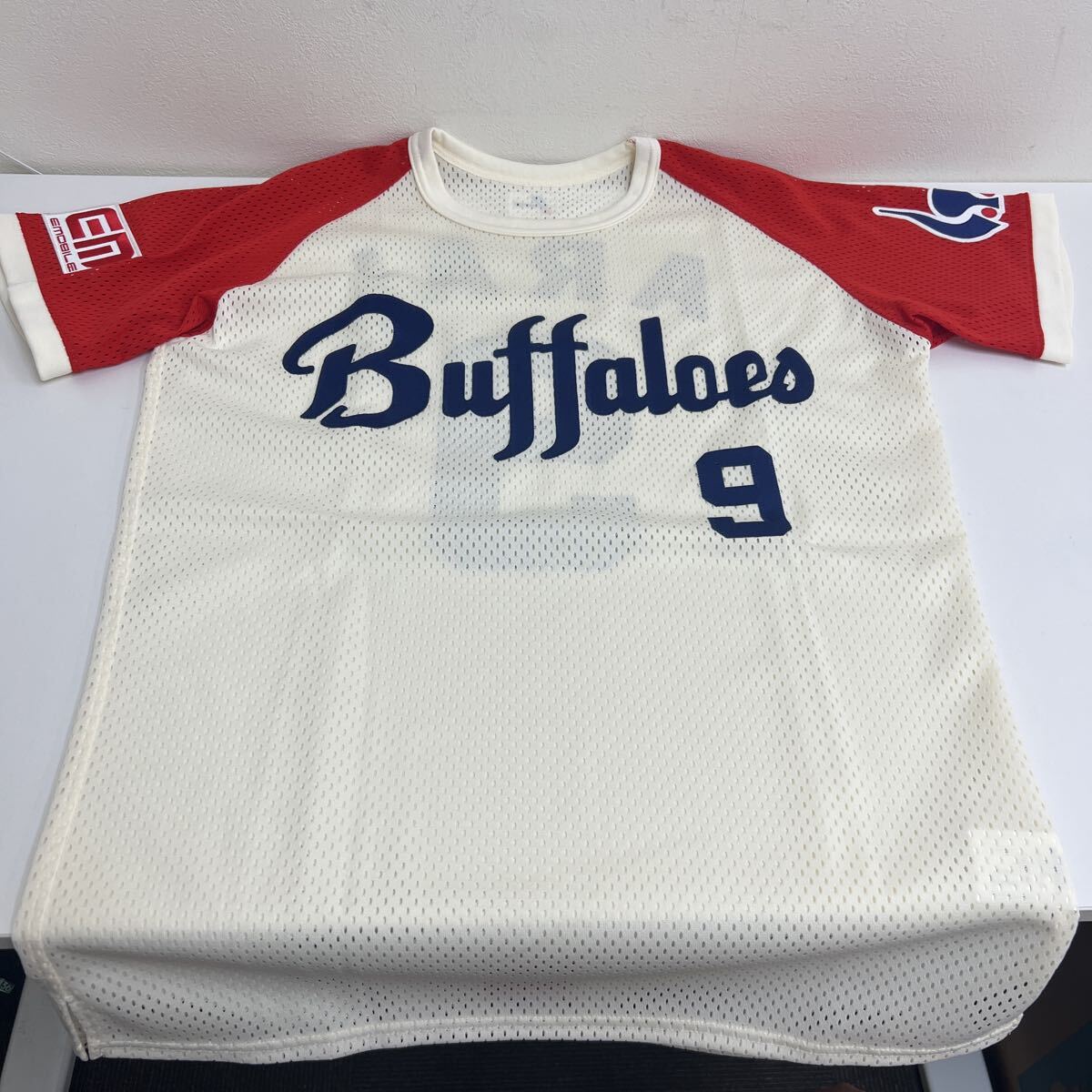 BBM 2009 近鉄バファローズ 武智文雄 直書き 直筆サインカード BBM】武智文雄 直筆サインカード 96枚限定 2009 思い出の猛牛