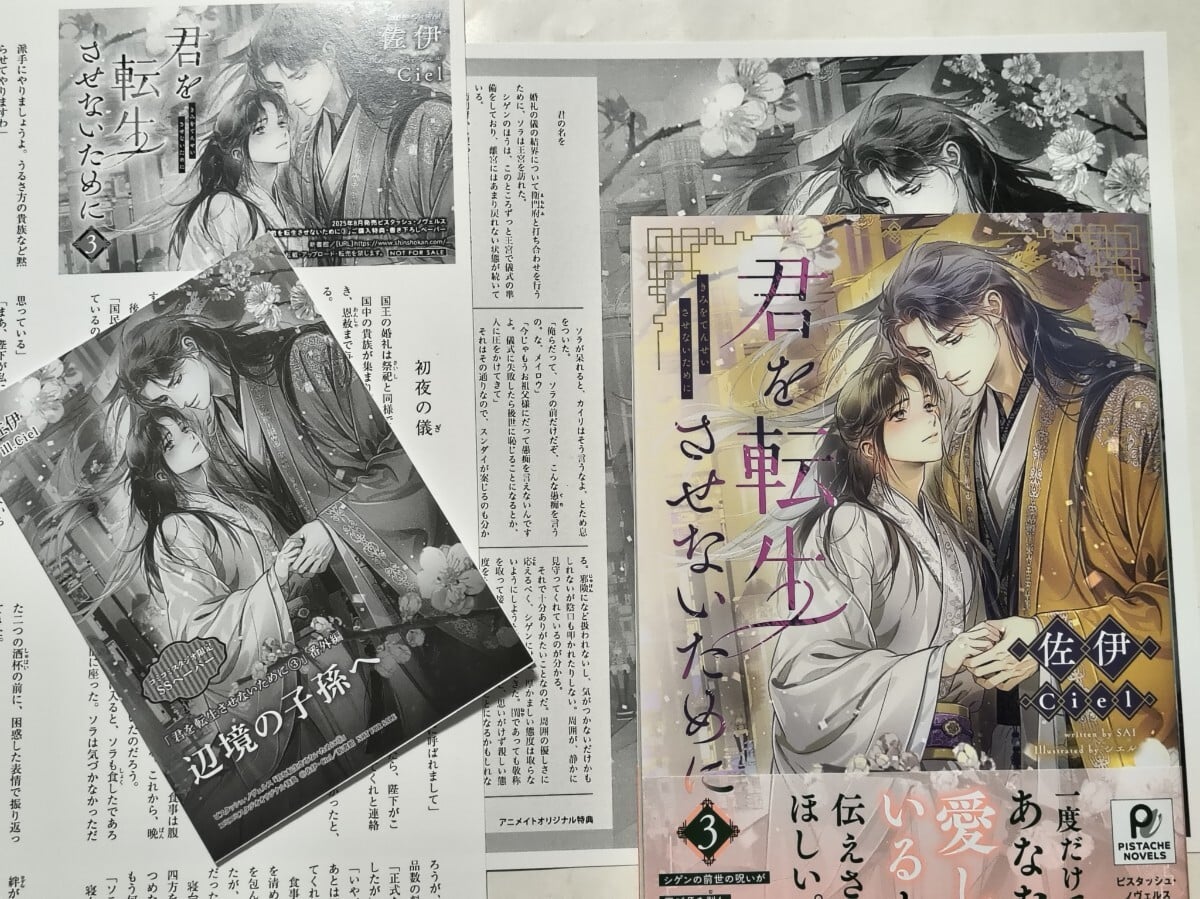 ペーパー3点◎ 好きなんて言わんといて/ツバダエキ (コミコミスタジオ、とらのあな、アニメイト) : ようこそ!たんぽぽ書店へ(3): なくなった日記 (ポプラキミノベル い 02-03) : 市宮 早記, ななミツ: 本