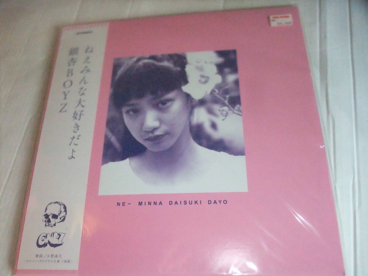 銀杏BOYZ 恋は永遠　レコード　lp 恋は永遠 : 銀杏BOYZ | HMV&BOOKS online - SKOOL-42