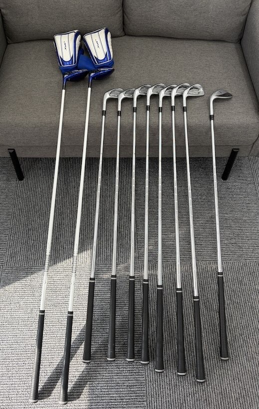 美品 Mizuno Pro ミズノプロ 9001 L字パター ゴルフクラブの落札情報