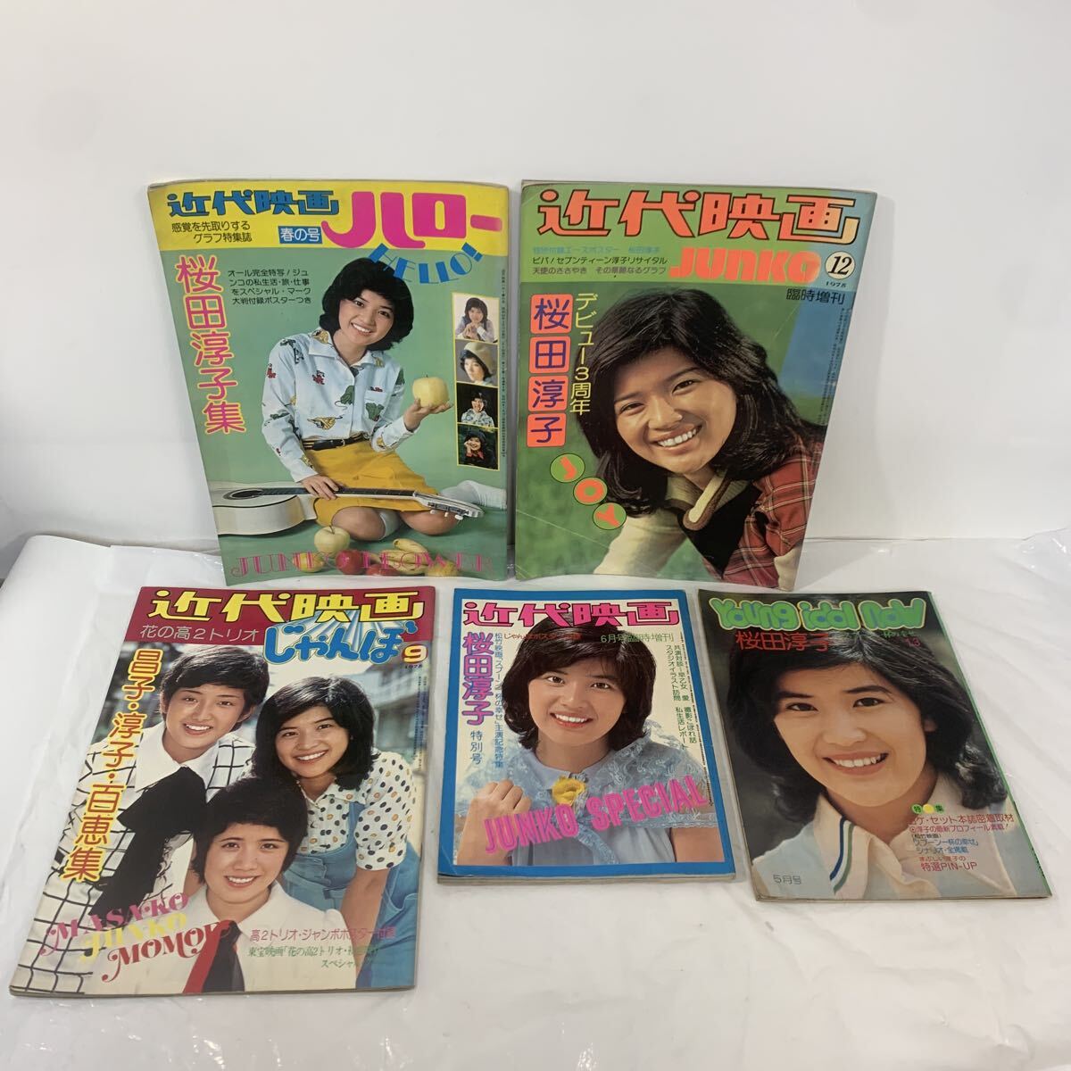 やや傷や汚れあり】☆貴重26P+ピンナップ×3☆中山忍水着グラビア他
