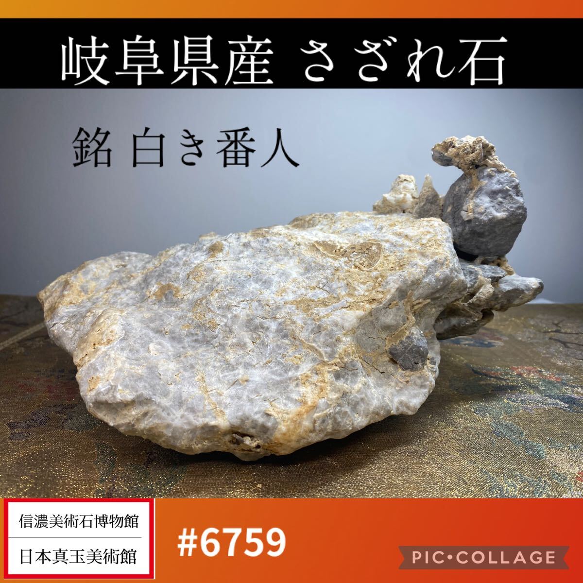 さざれ石 国歌 君が代 岐阜県産 石灰質角礫岩 神霊の宿る石 4