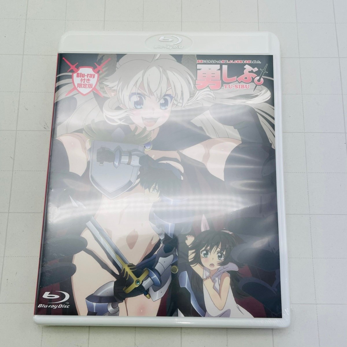 勇者になれなかった俺はしぶしぶ就職を決意しました。9 Blu-ray付き 