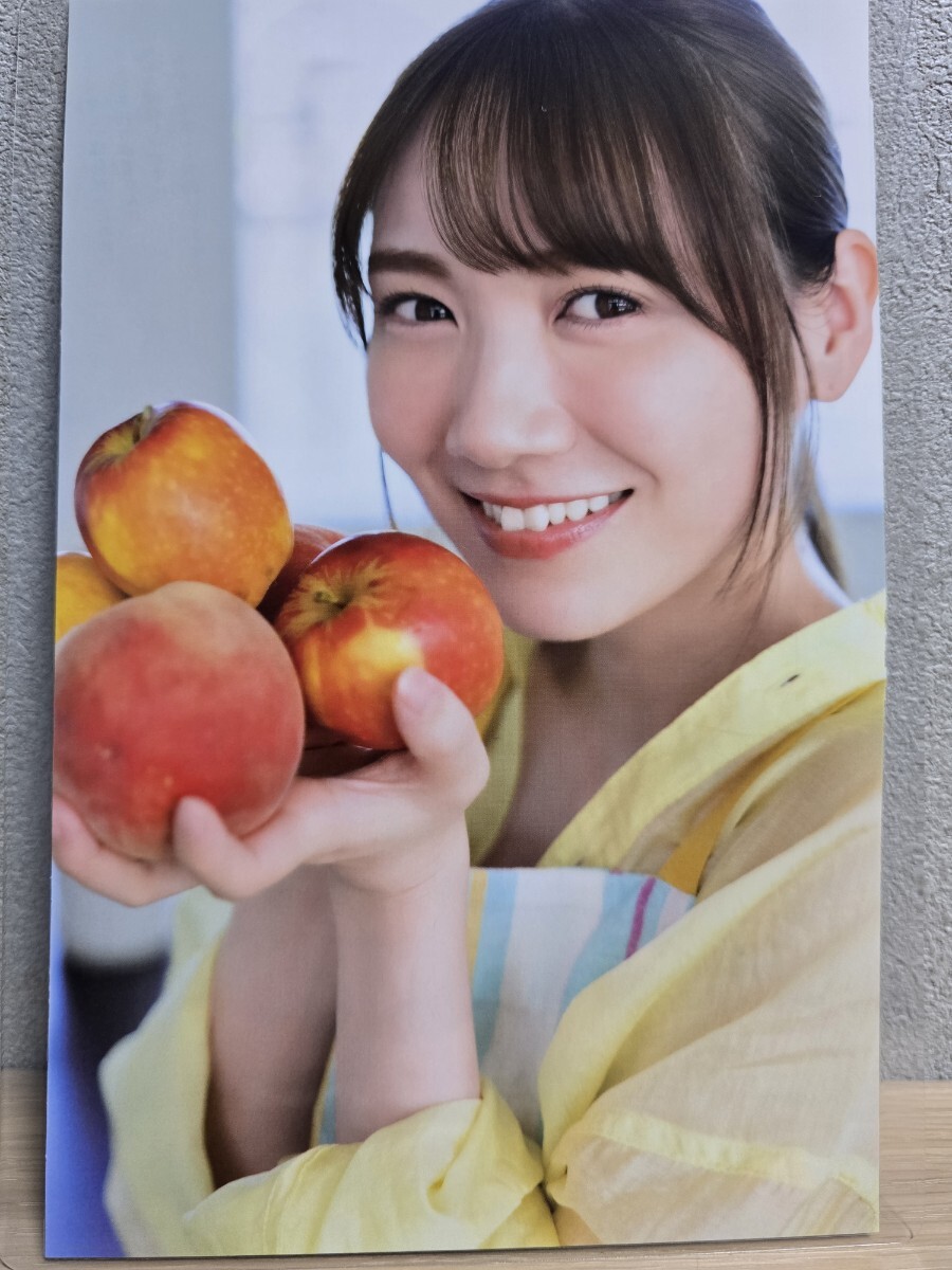未使用に近い】【B-005】柴田柚菜 Lサイズ写真 乃木坂46の落札情報詳細