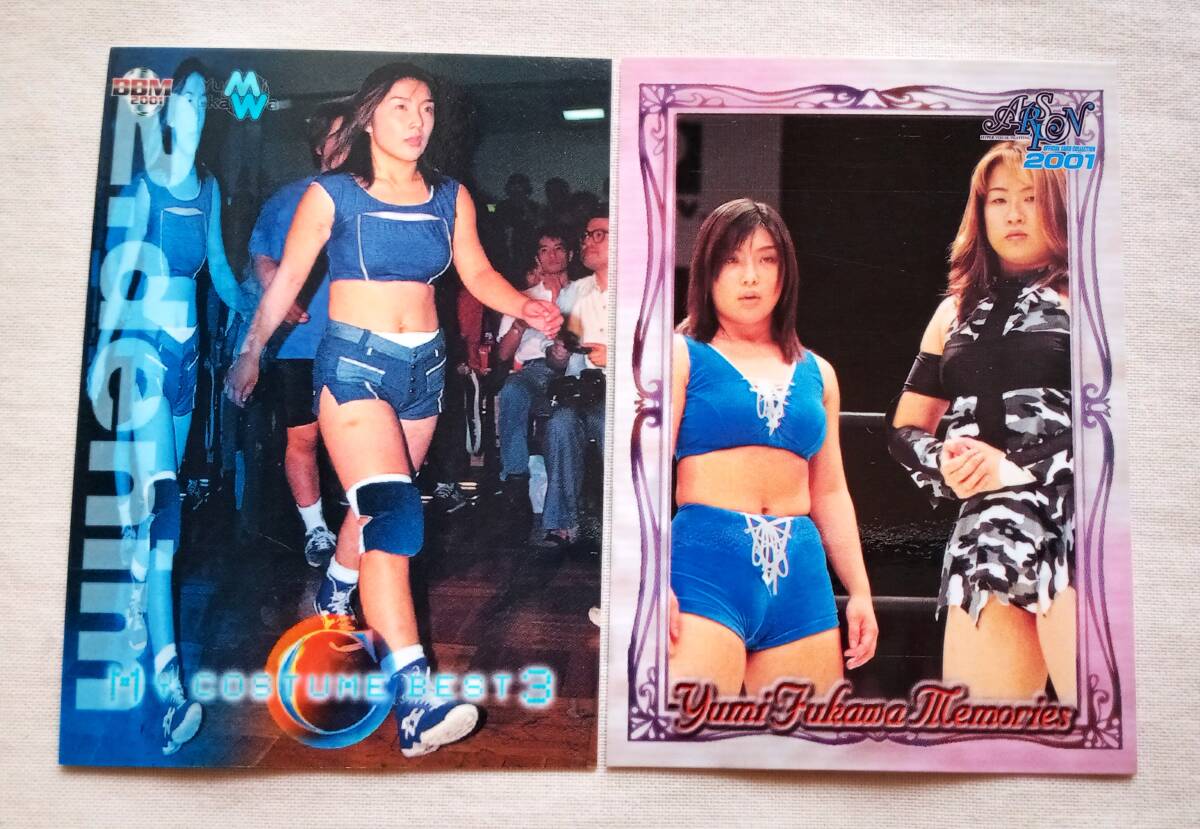 新品】プロレス用DVDケース3枚 府川唯未(府川由美)②アルシオン特集