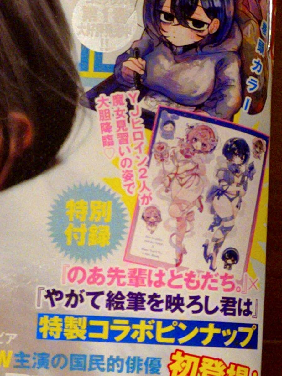 週刊ヤングジャンプ 2003年No.43 市川由衣 堀北真希 ピンナップ付きの