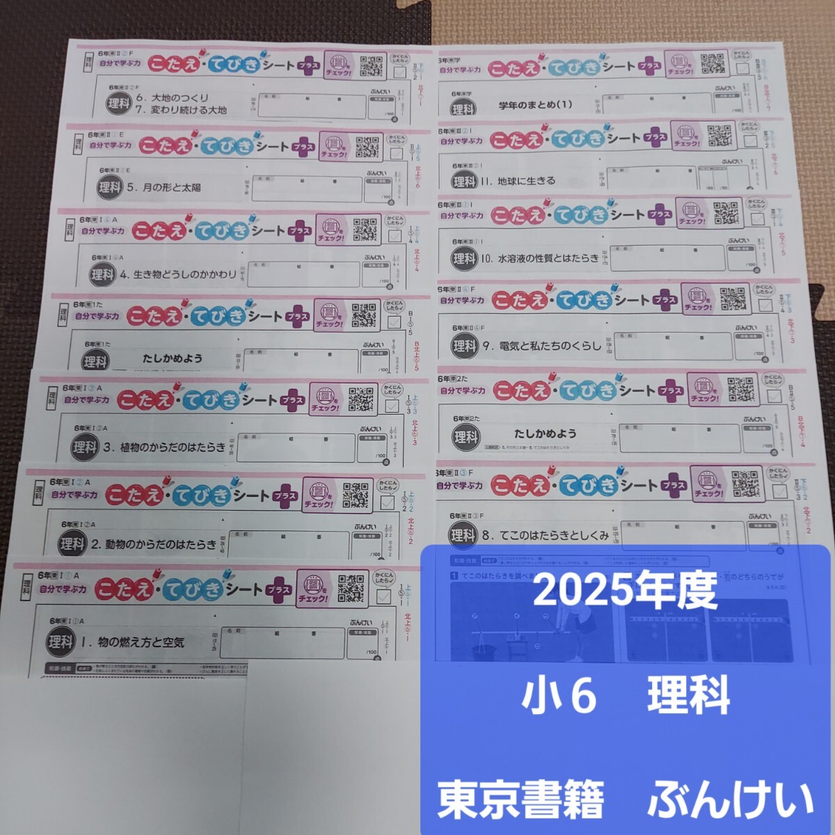新編 新しい算数 6 東京書籍 小学校 教科書 小学6年生 小6の落札情報