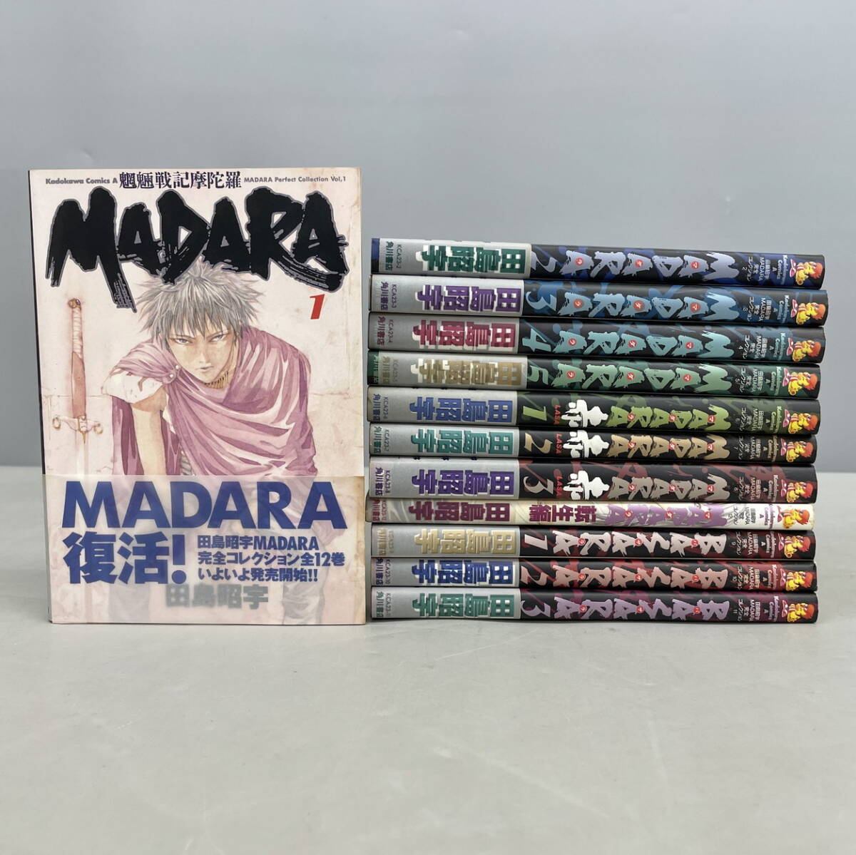 魍魎戦記MADARA 全巻セット 摩陀羅公認海賊本 転生編 田島昭宇 魍魎戦記MADARA 全巻セット 摩陀羅公認海賊本 転生編 Amazon.co.jp