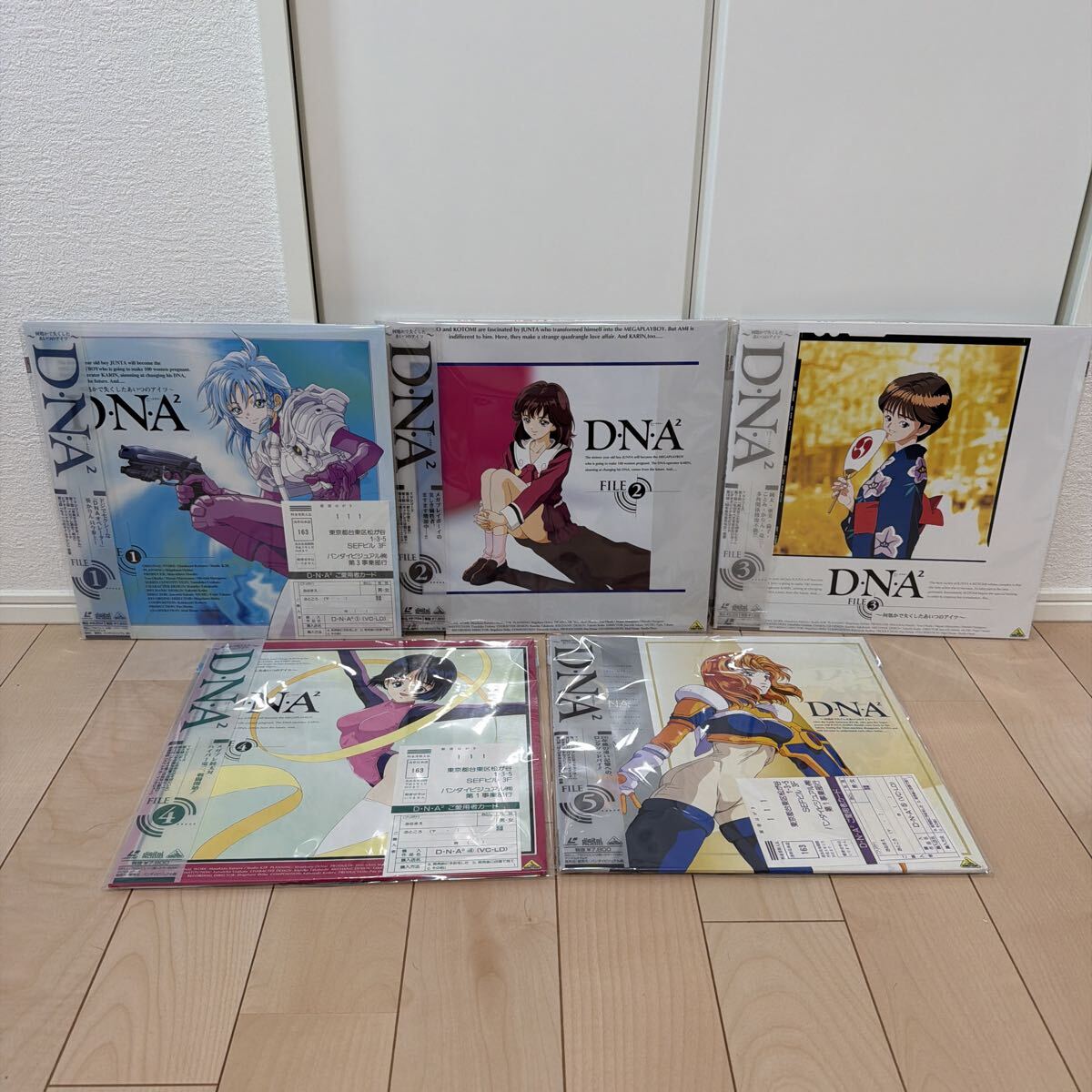 LD】美品 全4枚セット D・N・A2 ～何処かで失くしたあいつのアイツ