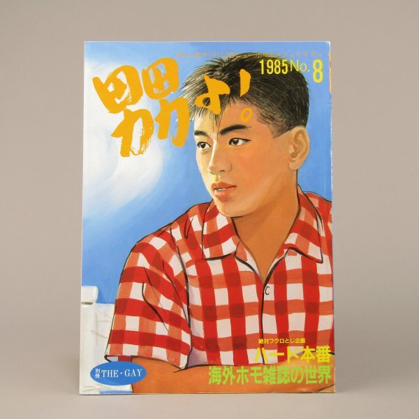 TheGAY1988年 3冊 1989年1冊　　4冊セット ゲイ雑誌 the GAY 27冊セット ザ・ゲイ別冊「男よ!」 1988~1991の落札