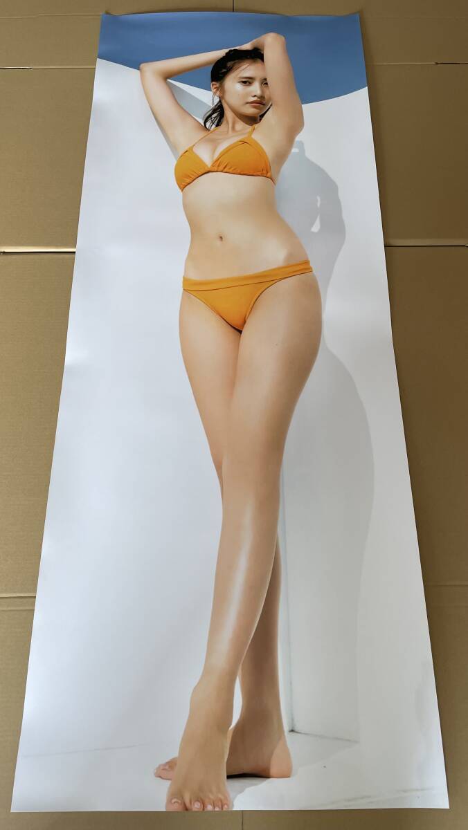 目立った傷や汚れなし】佐野ひなこ 等身大ポスターの落札情報詳細