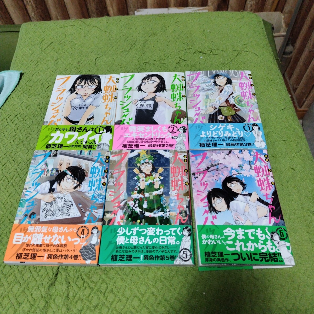 大蜘蛛ちゃんフラッシュ・バック 第04巻 とらのあな特典ペーパー 植芝