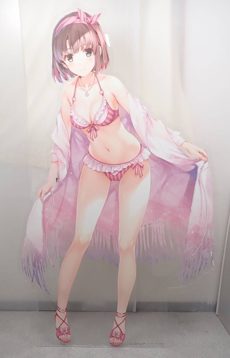 目立った傷や汚れなし】冴えない彼女の育てかた 高瀬智章総作画監督