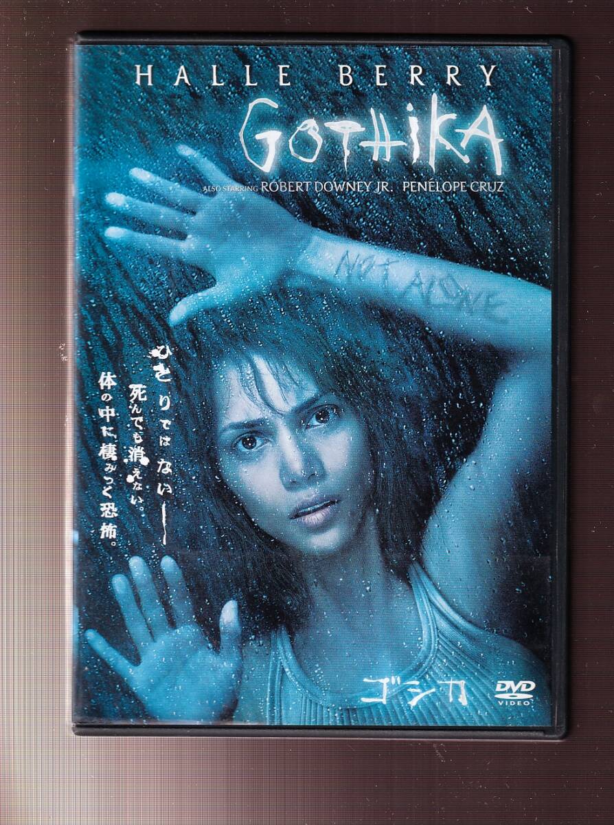 ハリウッド女優☆ペネロペ・クルス直筆サイン入り写真☆証明書COA付2L