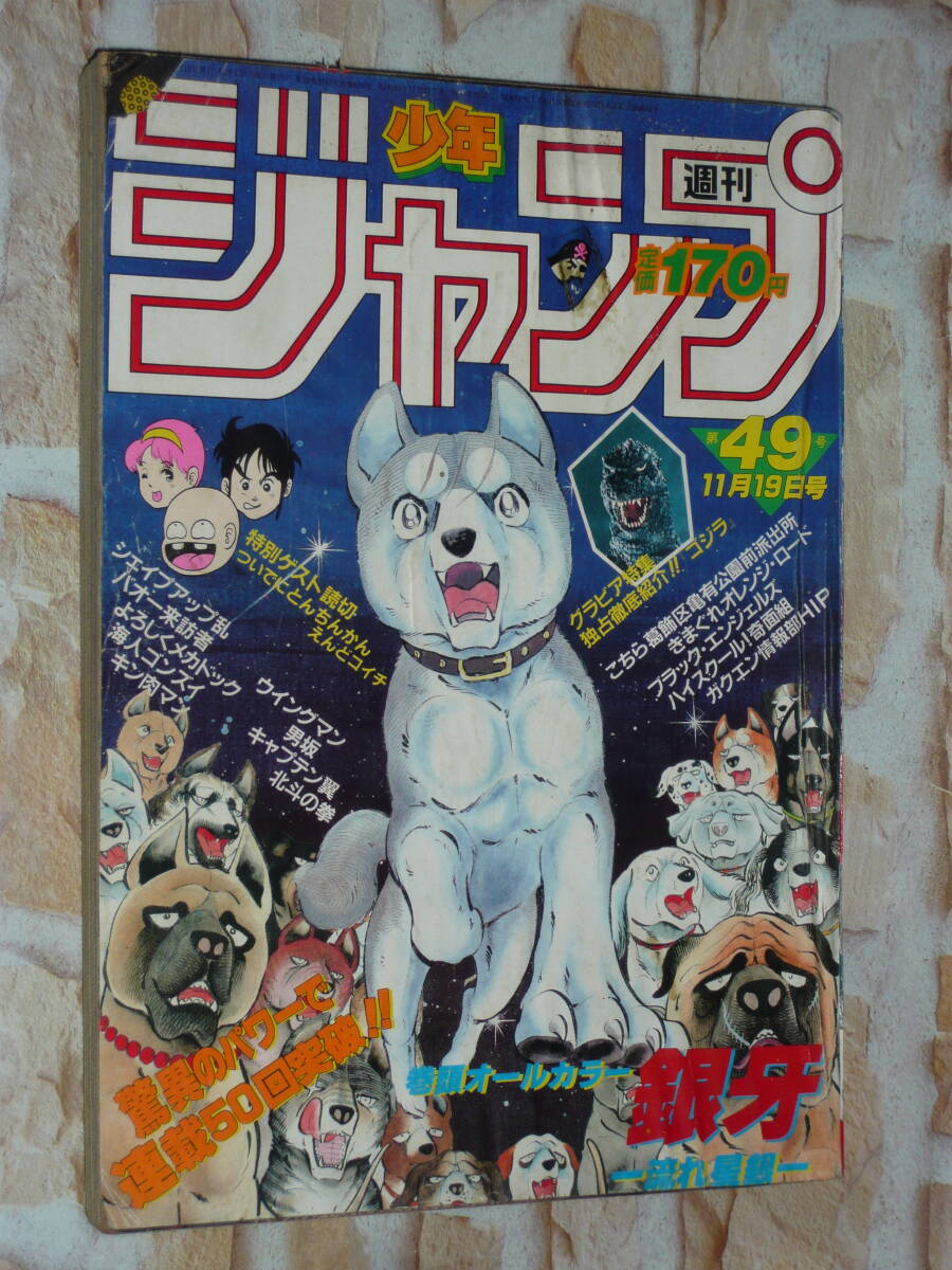 週刊少年ジャンプ 1984年（昭和59年）49号 巻頭カラー「銀牙-流れ星銀