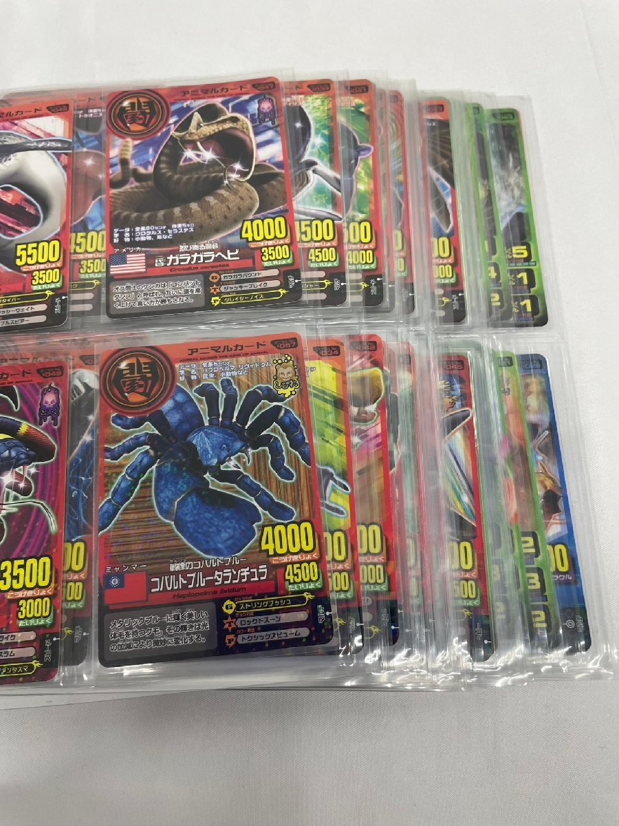 アニマルカイザー カード 究極レア 金 銀 銅 キラ セットの落札情報