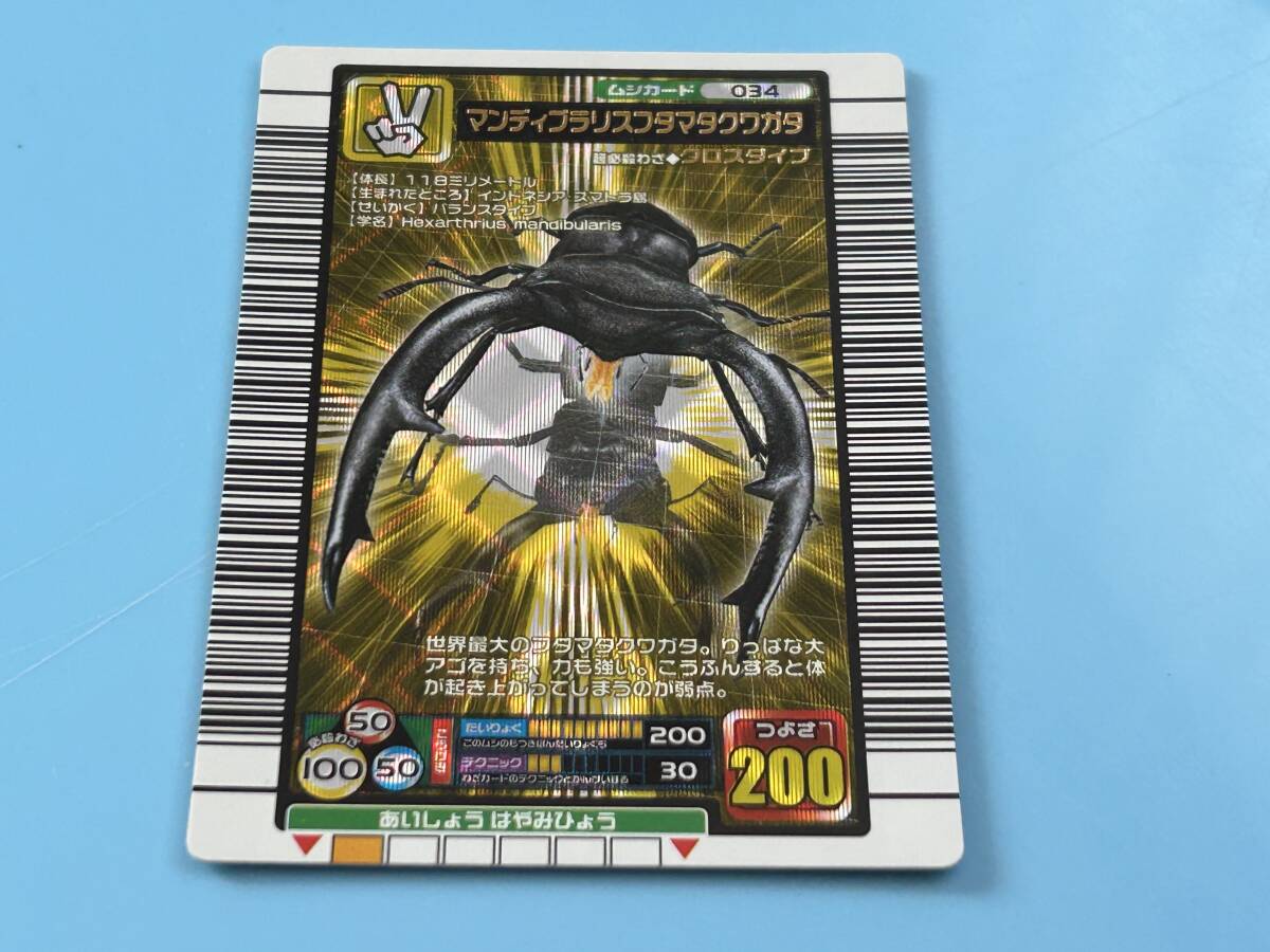 ◎中古品◎『マンディブラリスフタマタクワガタ 金レア』 034