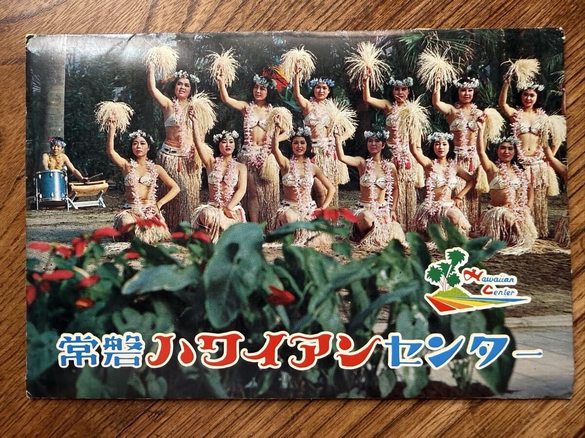 食品 海老フライ様専用 秋田県産 みずのこぶ みずの実 クール便