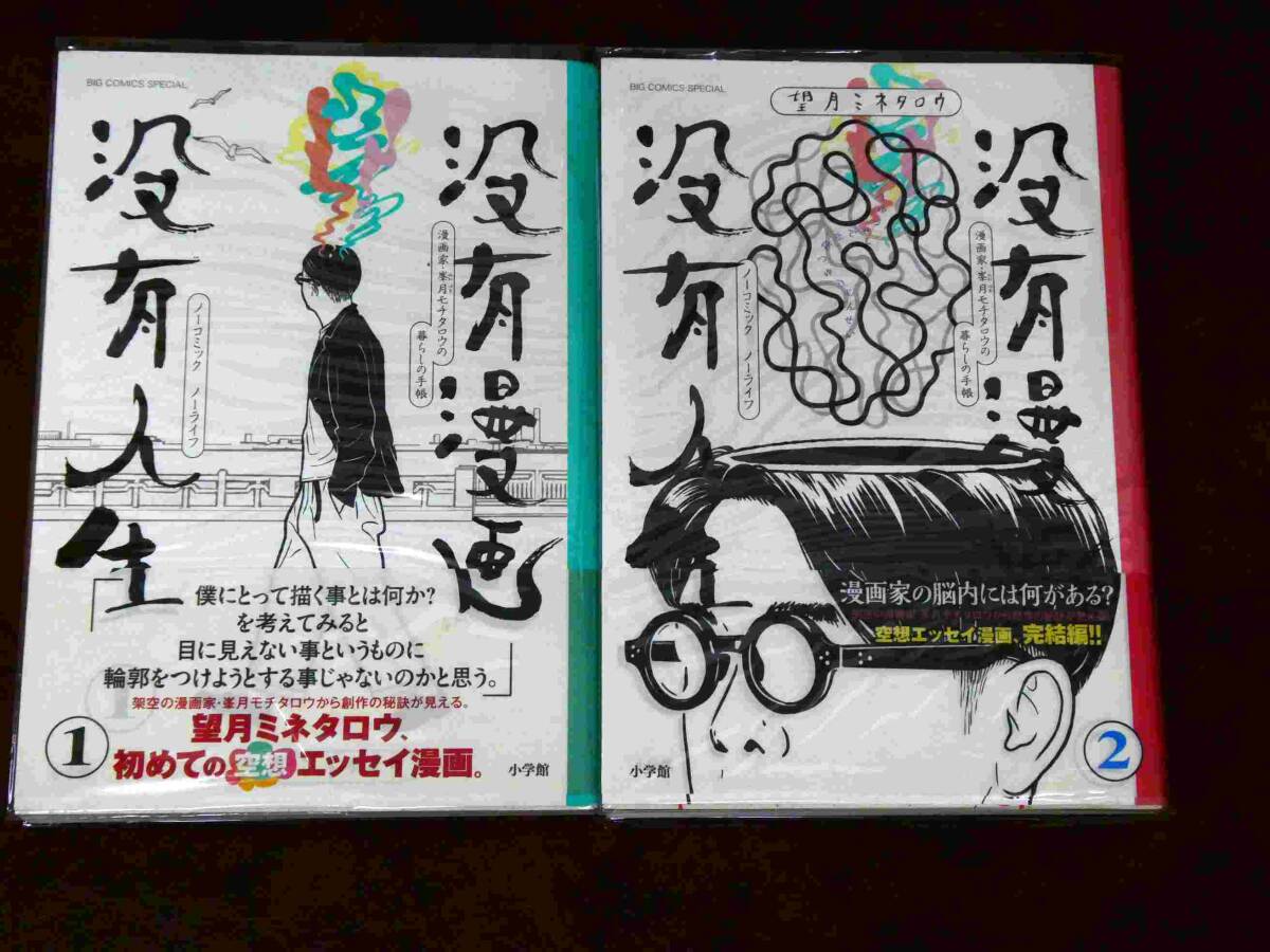 やや傷や汚れあり】切り抜き 望月峯太郎 COLOR オールカラー38ページ +