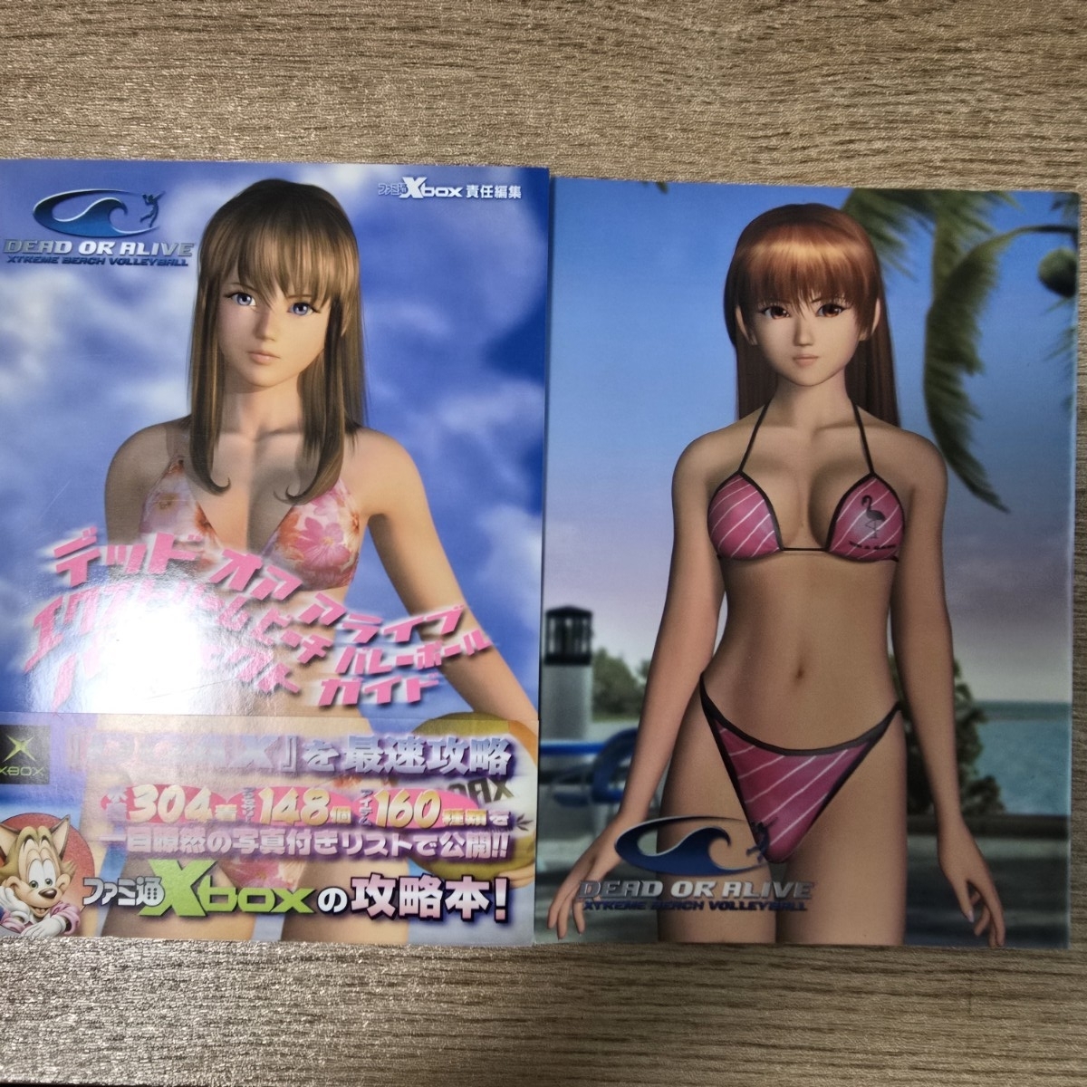 ◇ポスター◇デッド オア アライブ エクストリーム ビーチバレーボール