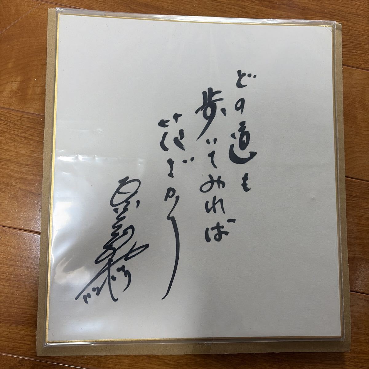 新品】中日ドラゴンズ 18枚直筆サイン色紙セット 球団ロゴ入り 与田剛